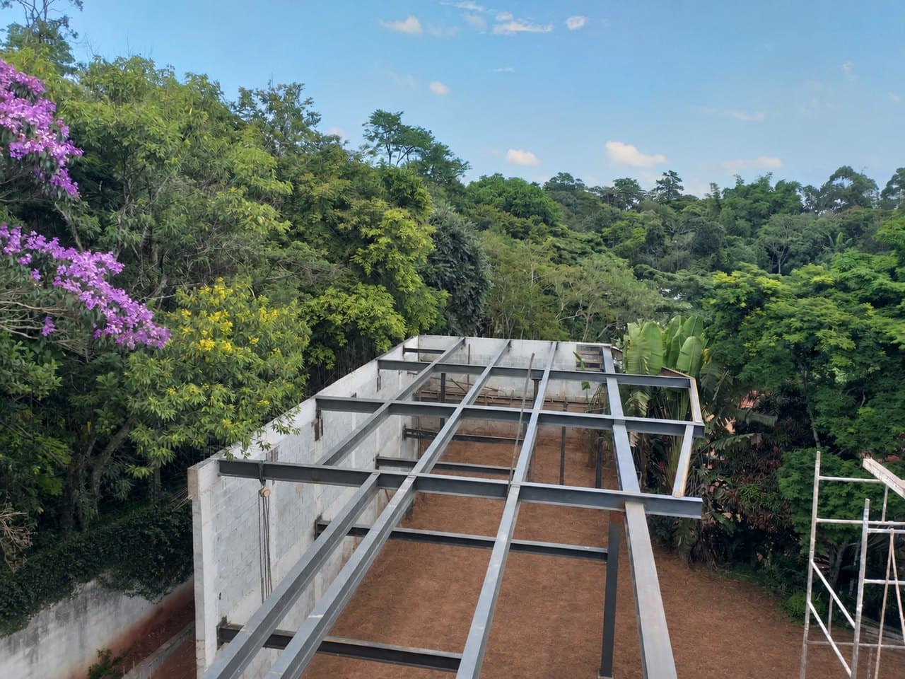 Vigas metálicas de cobertura sobre laje, com mata ao fundo